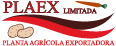 Plaex-logo